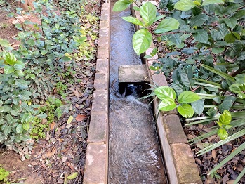 L'hort d'Almenar (Burjassot, L'Horta Nord)